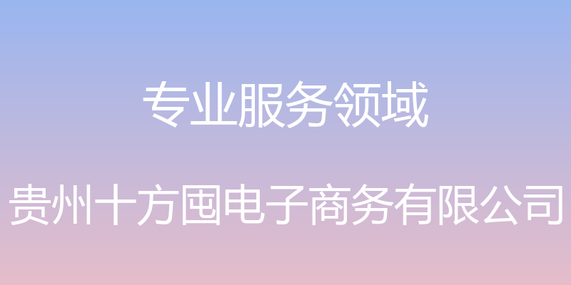 专业服务领域 - 贵州十方囤电子商务有限公司